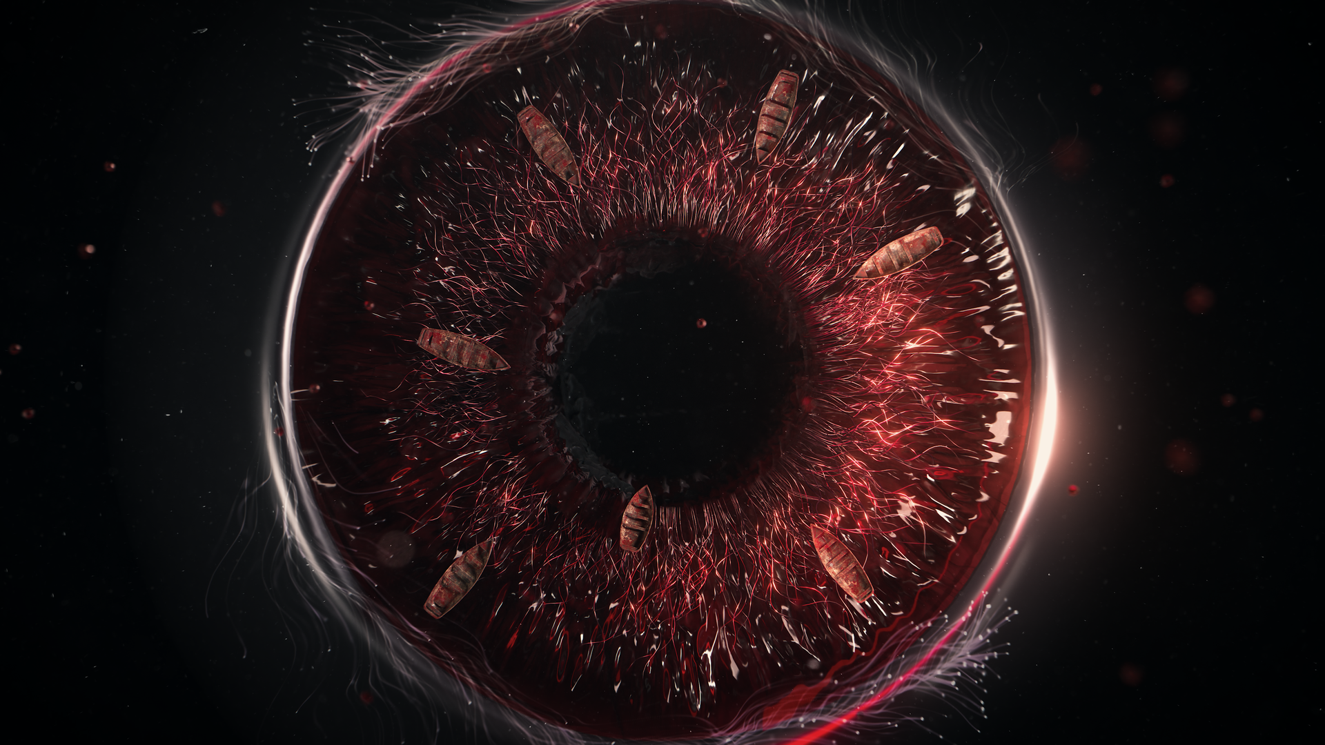 Image_8_loseless
